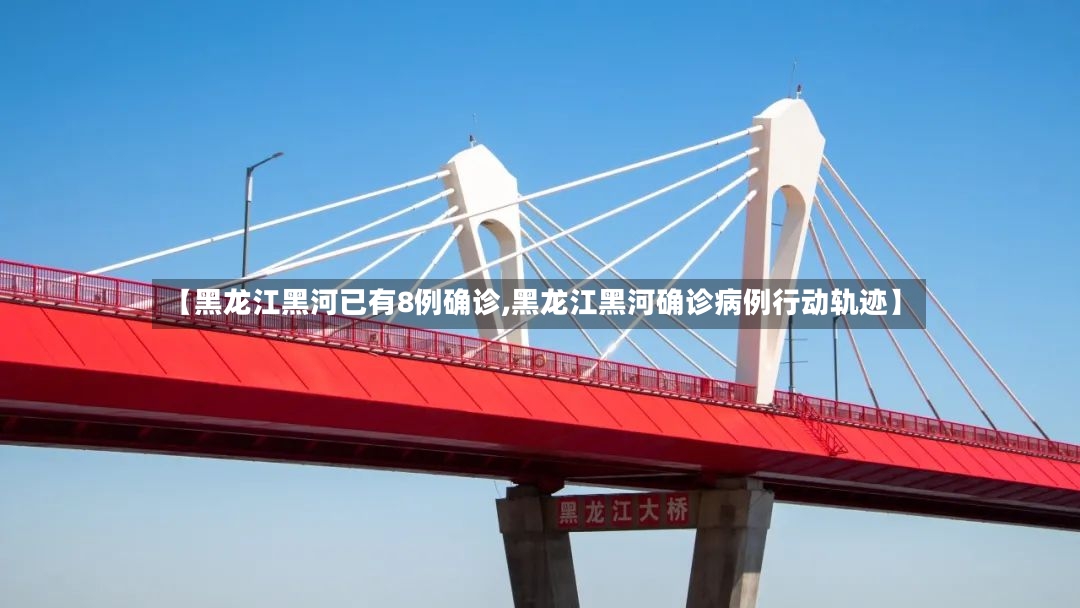 【黑龙江黑河已有8例确诊,黑龙江黑河确诊病例行动轨迹】