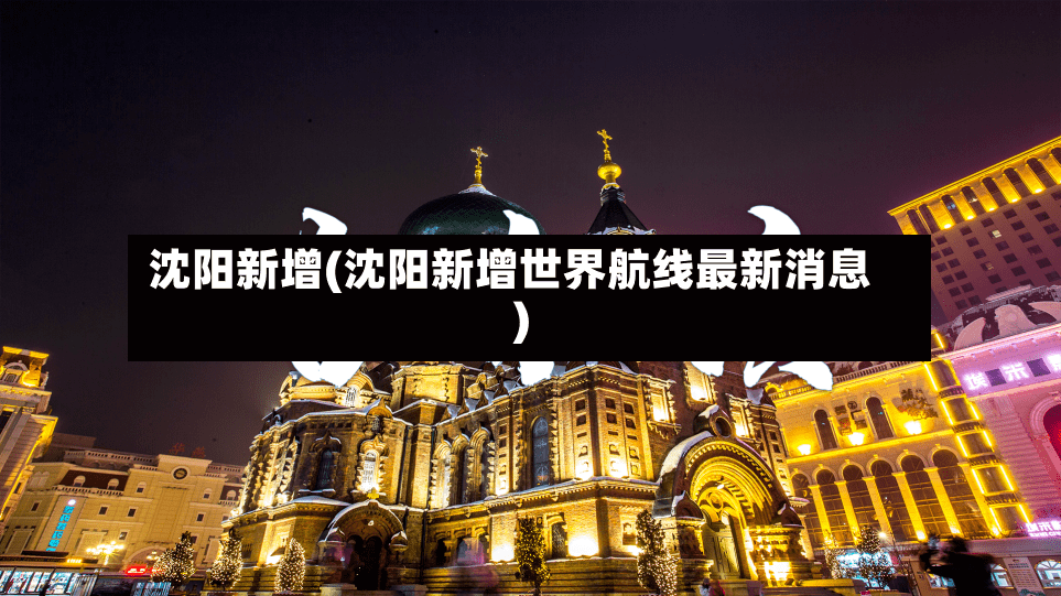 沈阳新增(沈阳新增世界航线最新消息)