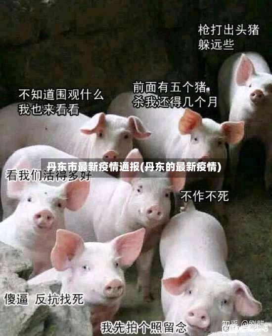 丹东市最新疫情通报(丹东的最新疫情)-第2张图片