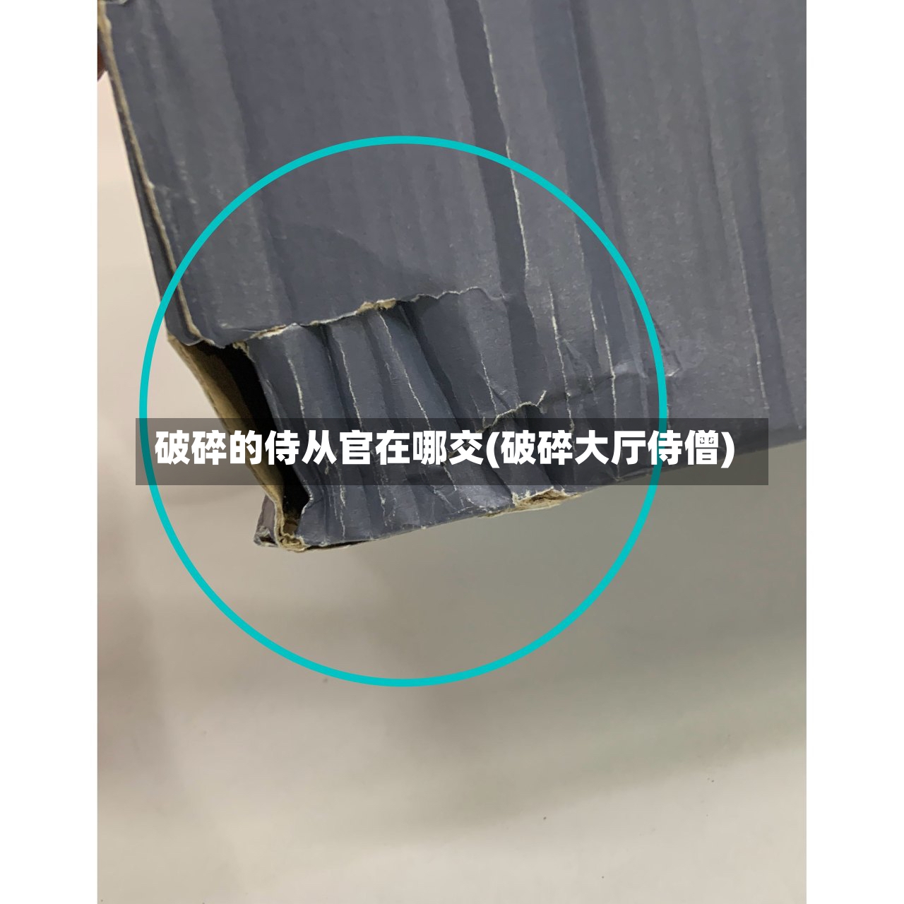 破碎的侍从官在哪交(破碎大厅侍僧)