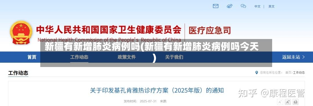 新疆有新增肺炎病例吗(新疆有新增肺炎病例吗今天)-第2张图片