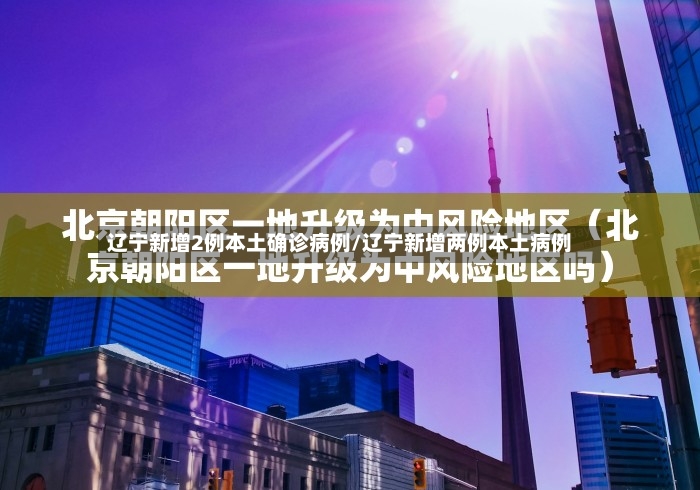 辽宁新增2例本土确诊病例/辽宁新增两例本土病例-第2张图片