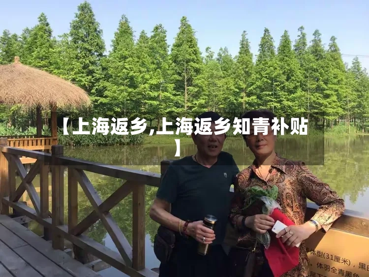 【上海返乡,上海返乡知青补贴】-第2张图片