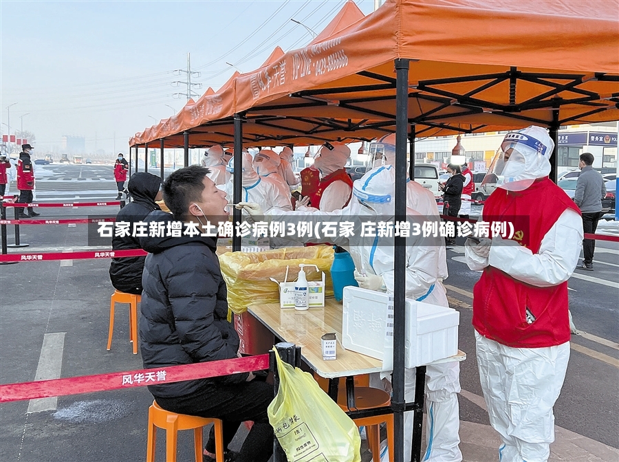 石家庄新增本土确诊病例3例(石家 庄新增3例确诊病例)-第2张图片