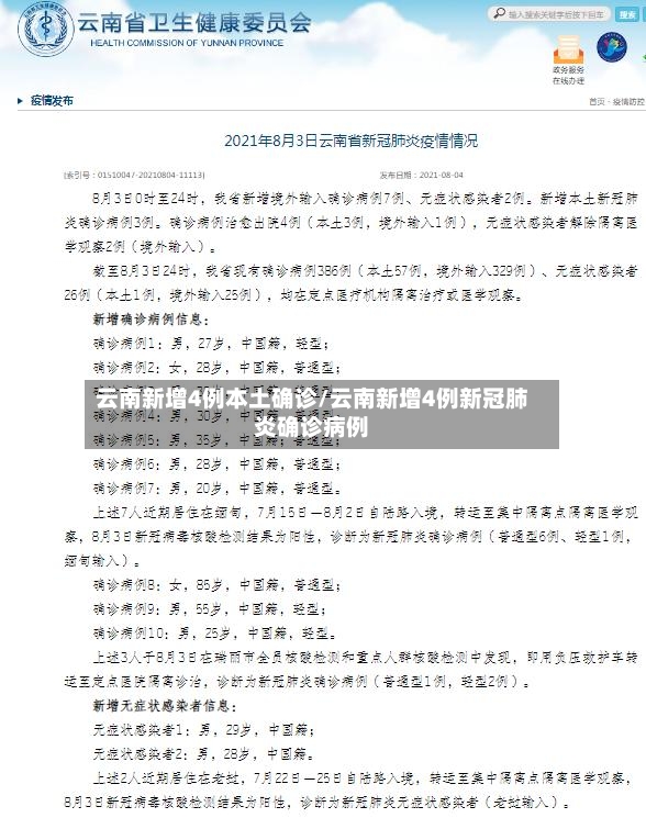 云南新增4例本土确诊/云南新增4例新冠肺炎确诊病例-第3张图片