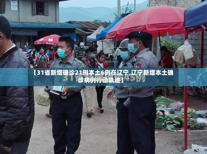 【31省新增确诊21例本土6例在辽宁,辽宁新增本土确诊病例行动轨迹】-第2张图片