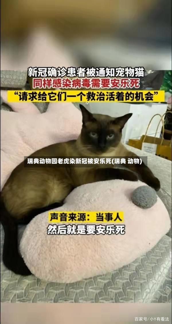 瑞典动物园老虎染新冠被安乐死(瑞典 动物)-第2张图片