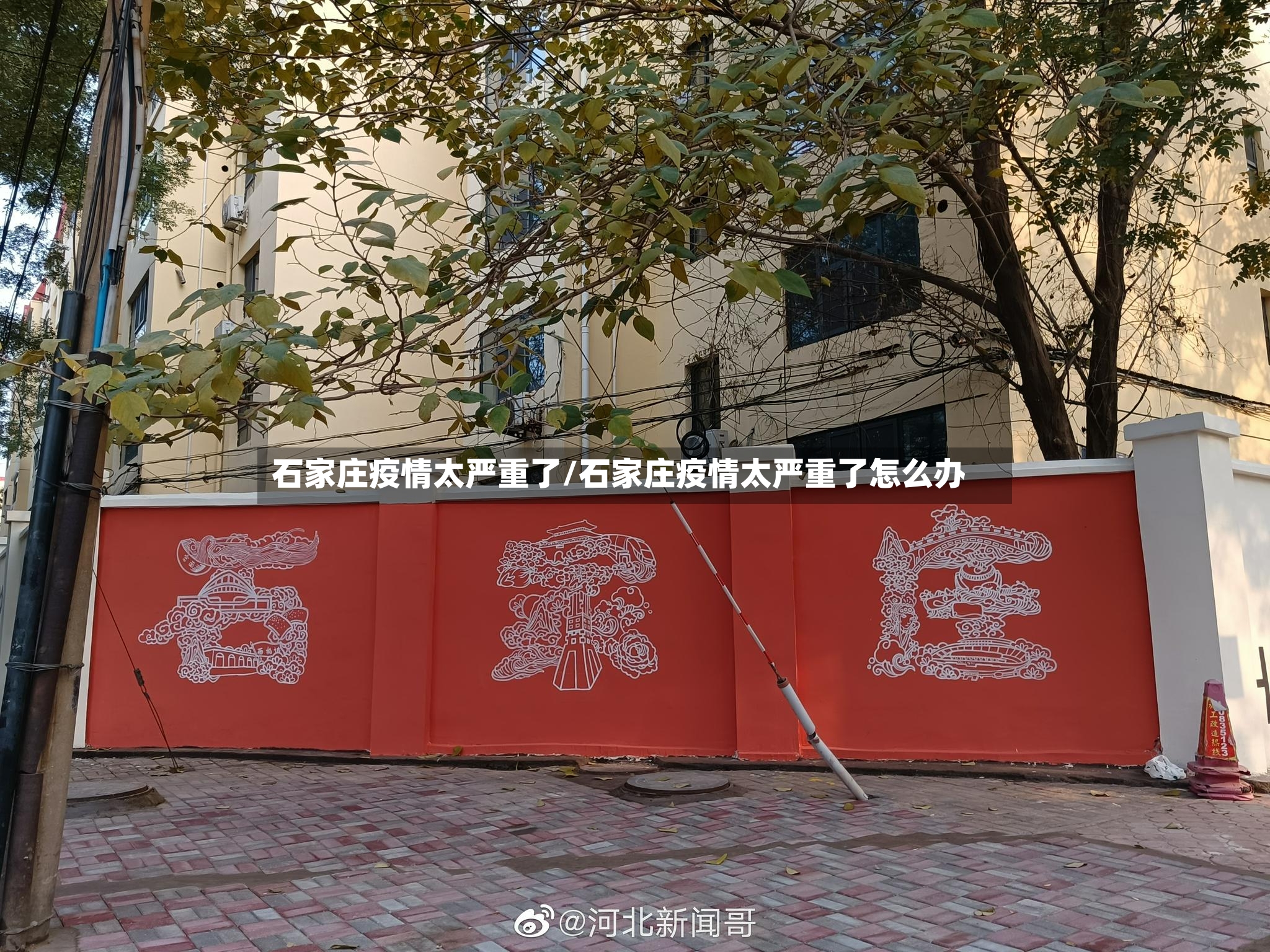 石家庄疫情太严重了/石家庄疫情太严重了怎么办-第2张图片