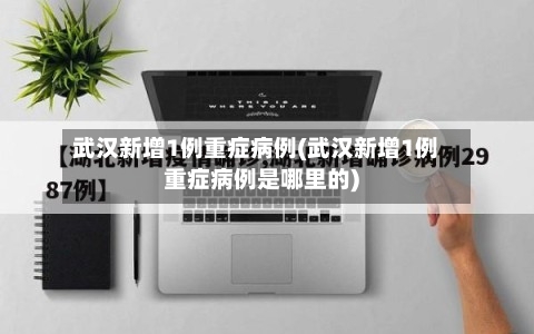 武汉新增1例重症病例(武汉新增1例重症病例是哪里的)