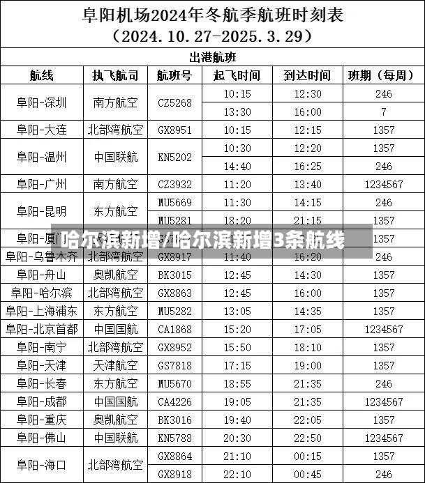 哈尔滨新增/哈尔滨新增3条航线-第2张图片