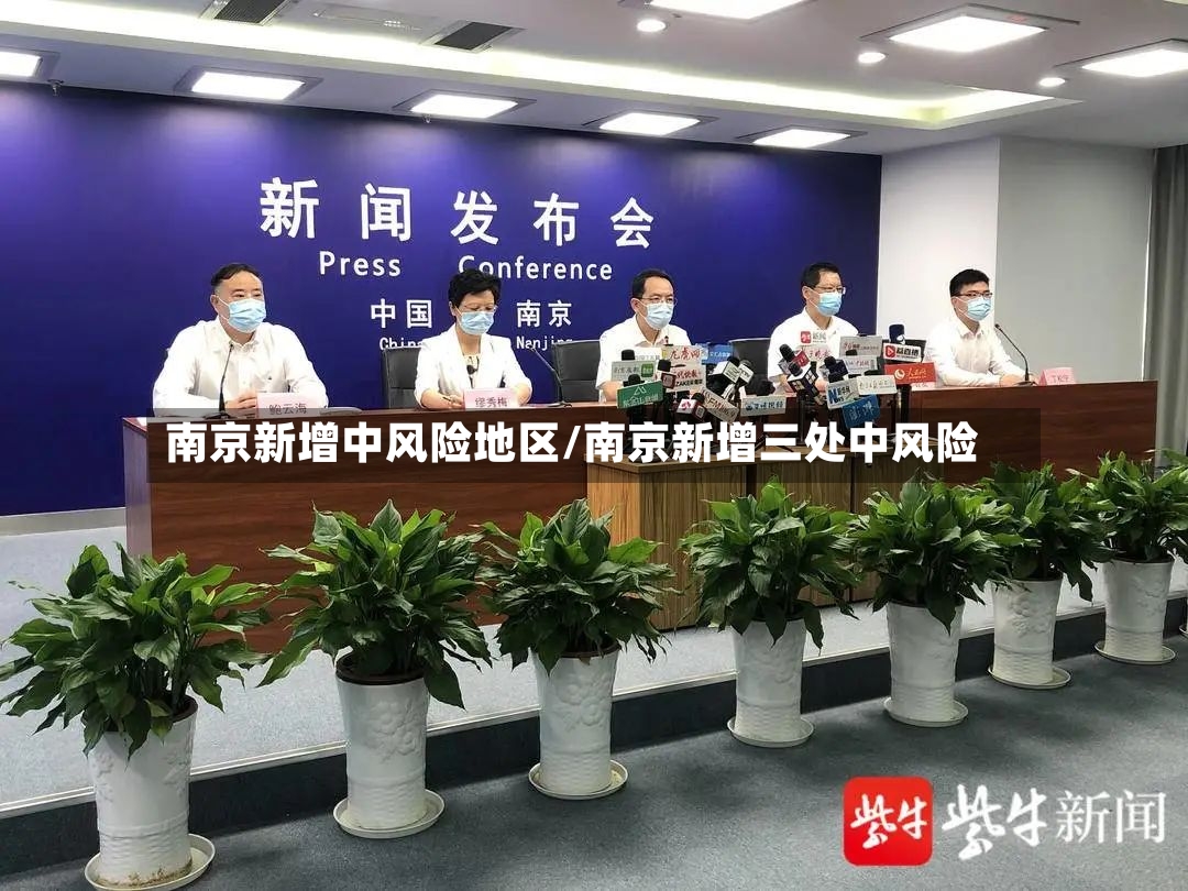 南京新增中风险地区/南京新增三处中风险-第3张图片