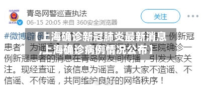 【上海确诊新冠肺炎最新消息,上海确诊病例情况公布】-第3张图片