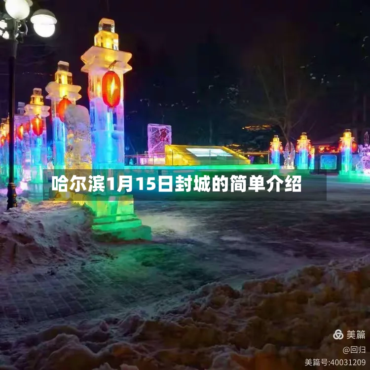 哈尔滨1月15日封城的简单介绍-第3张图片