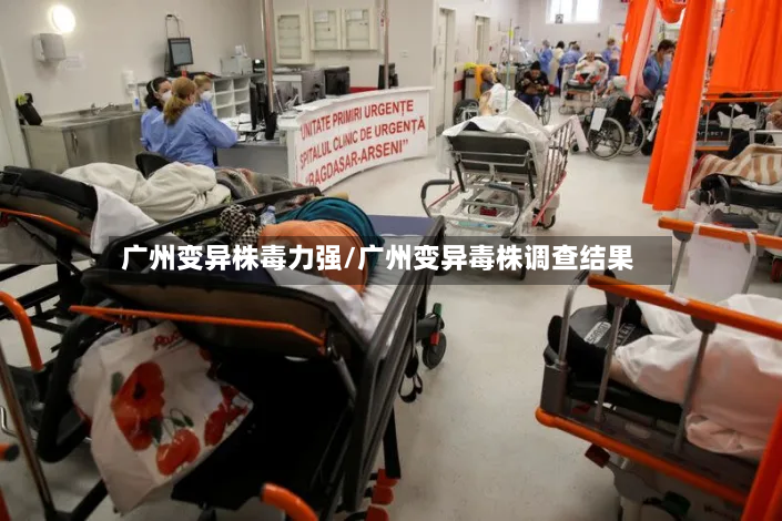 广州变异株毒力强/广州变异毒株调查结果