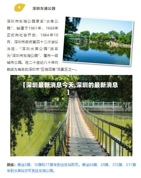 【深圳最新消息今天,深圳的最新消息】-第3张图片