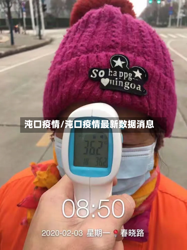 沌口疫情/沌口疫情最新数据消息