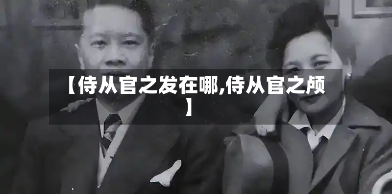 【侍从官之发在哪,侍从官之颅】-第2张图片