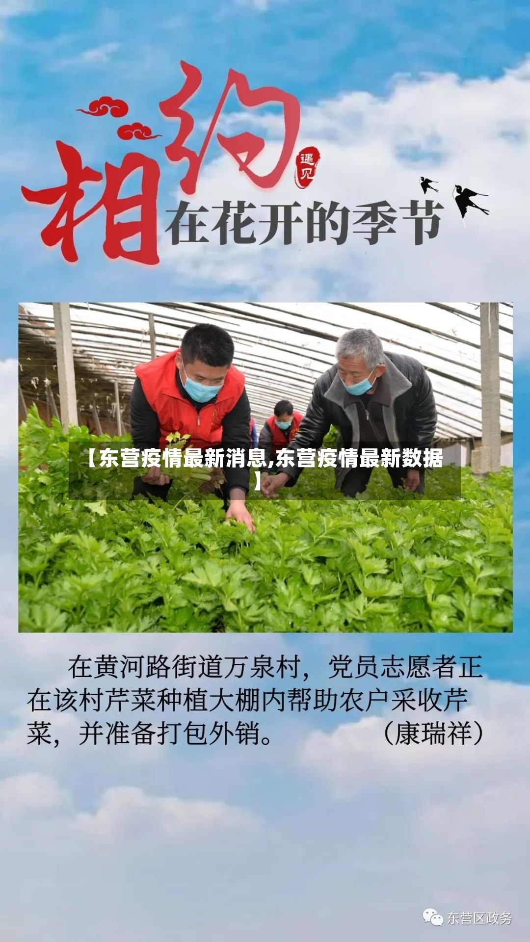 【东营疫情最新消息,东营疫情最新数据】