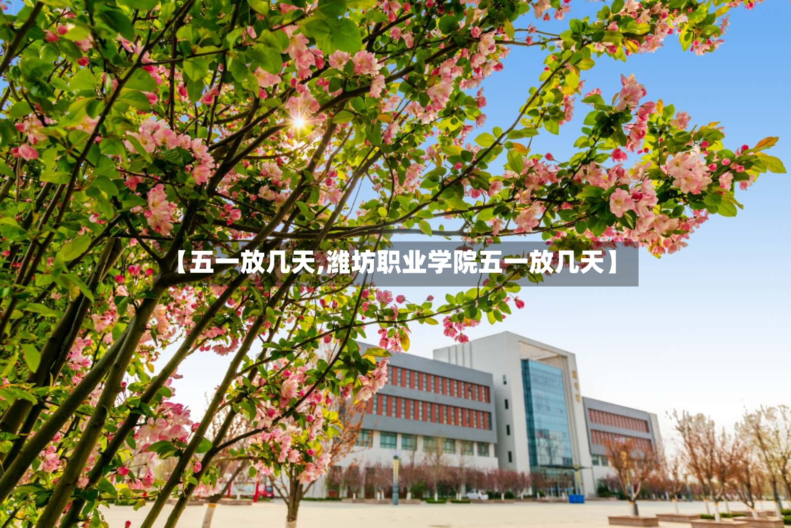 【五一放几天,潍坊职业学院五一放几天】-第3张图片