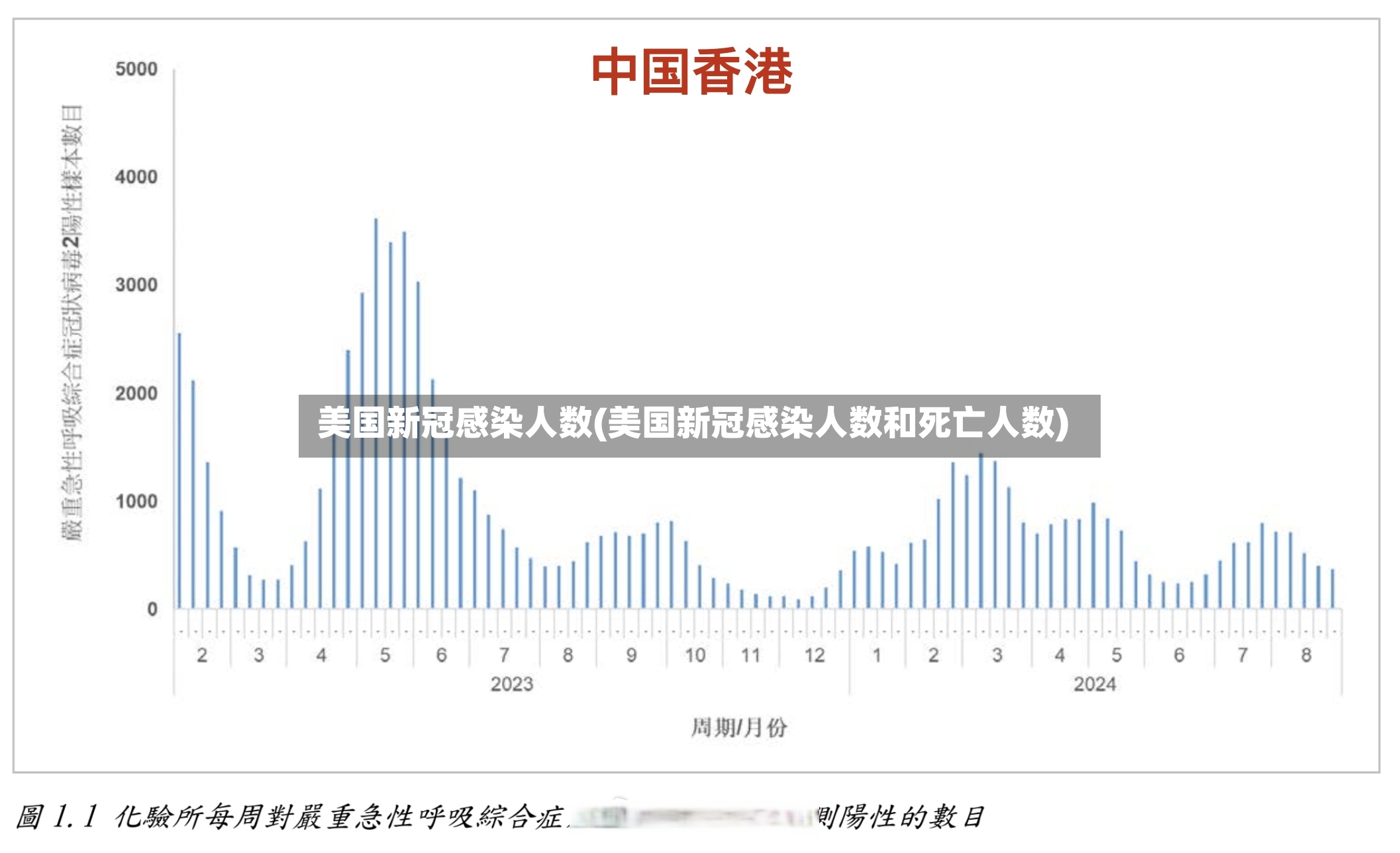 美国新冠感染人数(美国新冠感染人数和死亡人数)-第3张图片