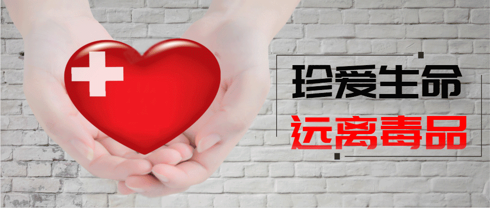 大连最新疫情最新通报今天情况/大连最新疫情动态-第3张图片