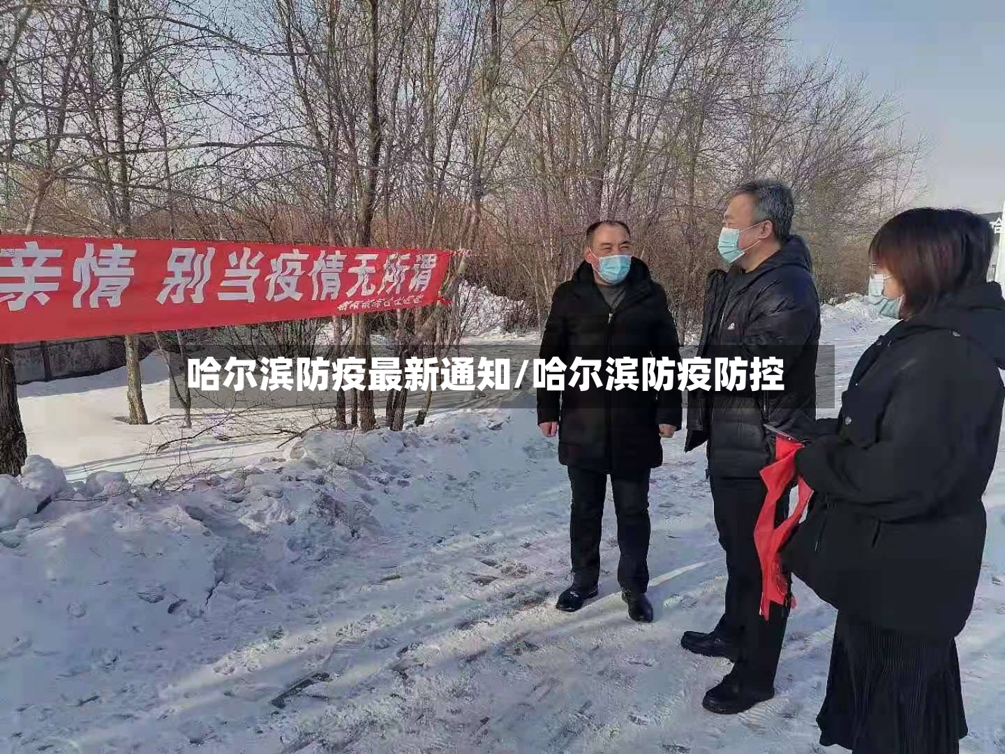 哈尔滨防疫最新通知/哈尔滨防疫防控-第2张图片
