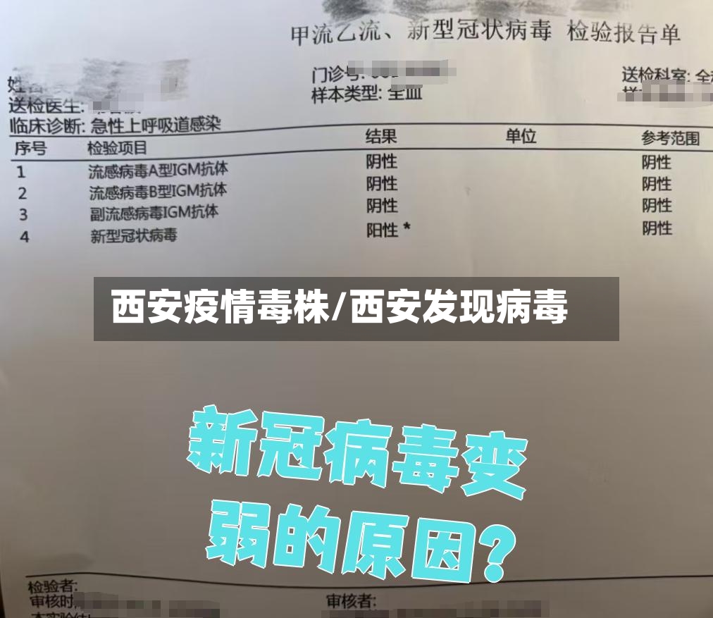 西安疫情毒株/西安发现病毒