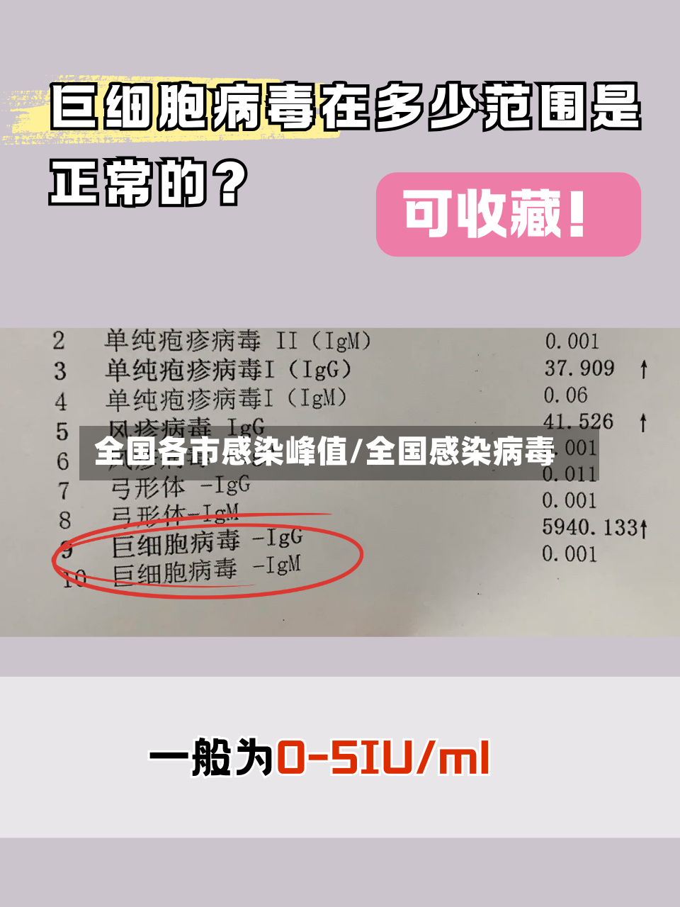 全国各市感染峰值/全国感染病毒