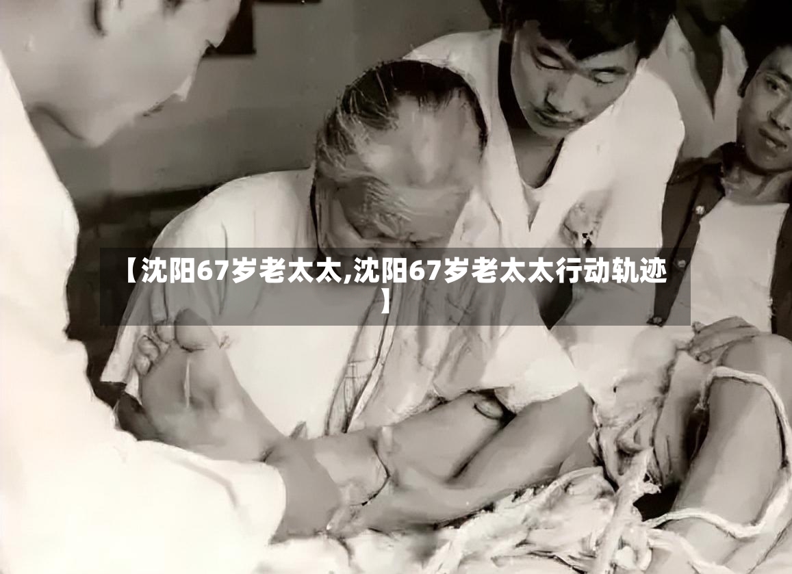 【沈阳67岁老太太,沈阳67岁老太太行动轨迹】-第2张图片