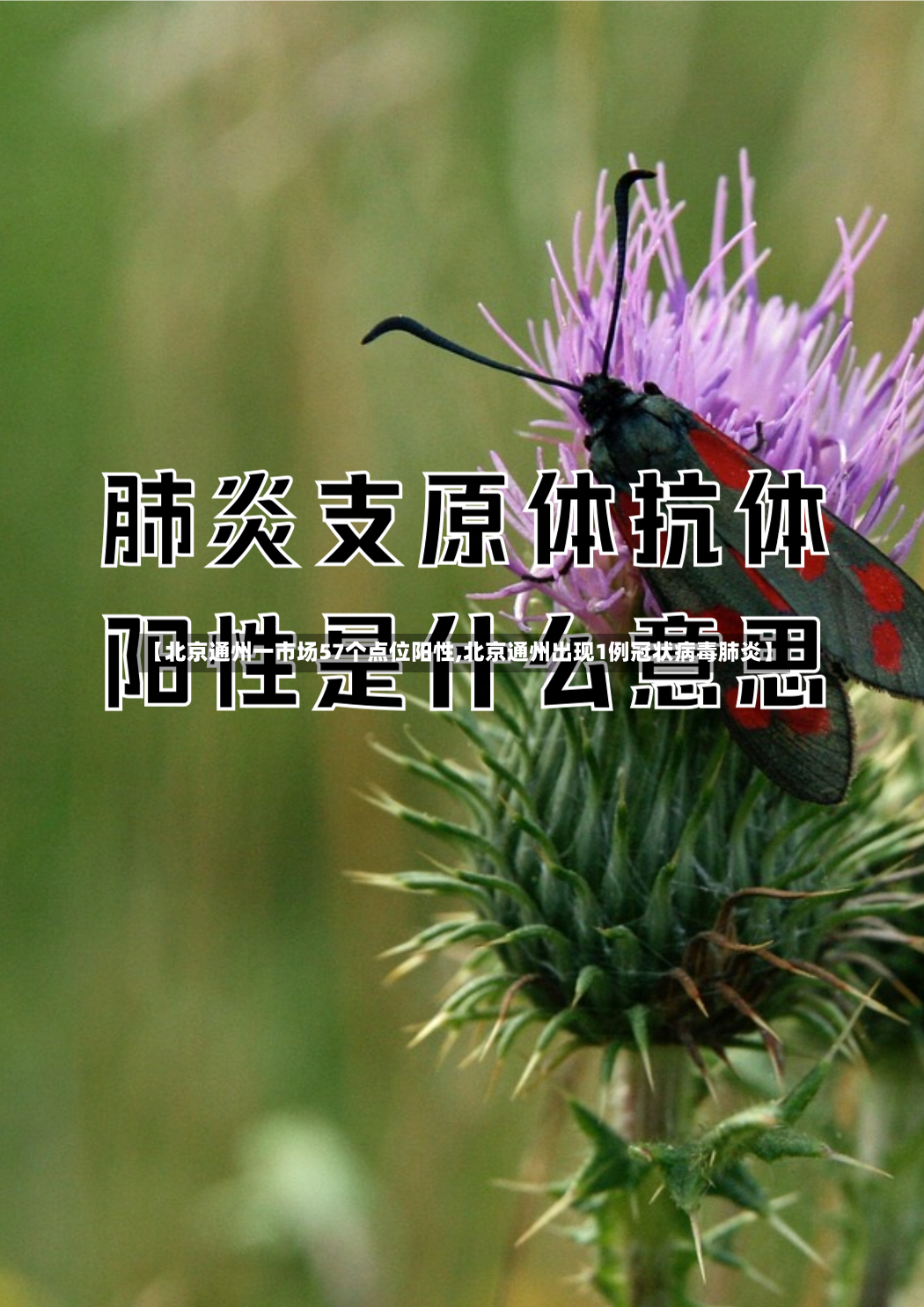 【北京通州一市场57个点位阳性,北京通州出现1例冠状病毒肺炎】-第2张图片