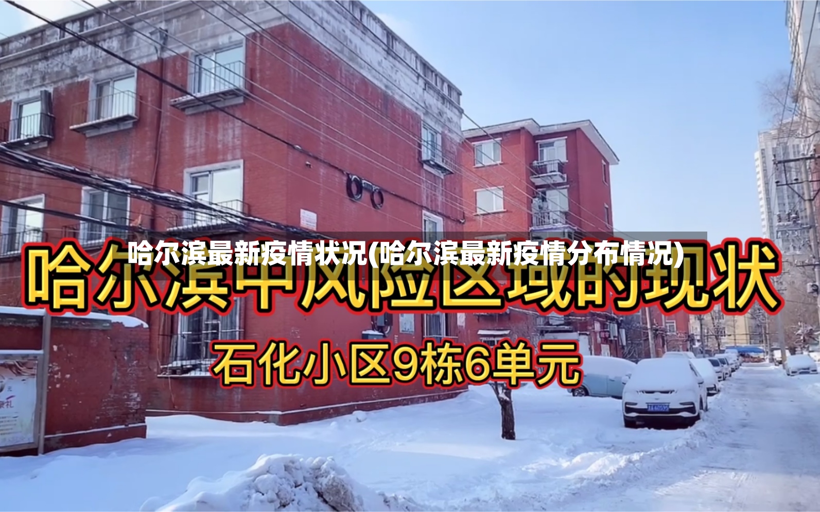 哈尔滨最新疫情状况(哈尔滨最新疫情分布情况)-第2张图片