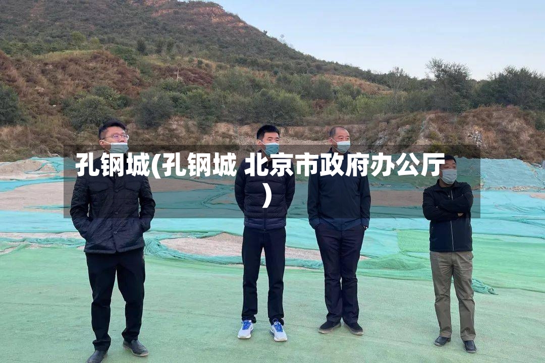 孔钢城(孔钢城 北京市政府办公厅)-第2张图片