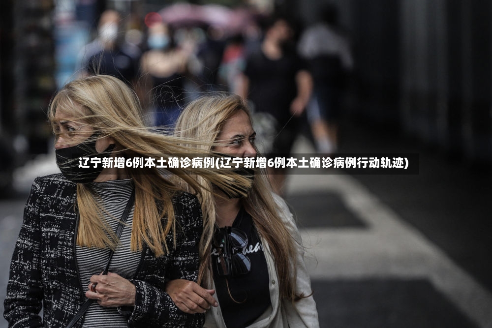 辽宁新增6例本土确诊病例(辽宁新增6例本土确诊病例行动轨迹)-第2张图片