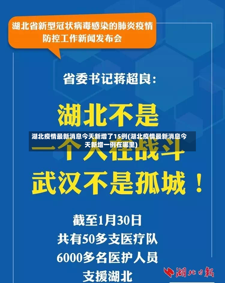湖北疫情最新消息今天新增了15例(湖北疫情最新消息今天新增一例在哪里)