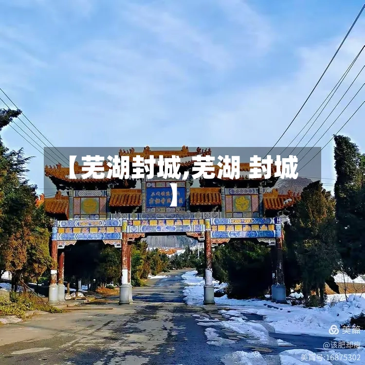 【芜湖封城,芜湖 封城】