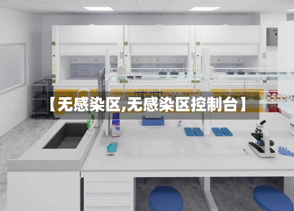 【无感染区,无感染区控制台】-第2张图片