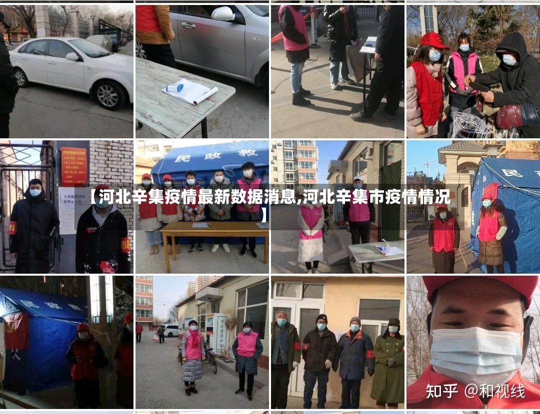 【河北辛集疫情最新数据消息,河北辛集市疫情情况】