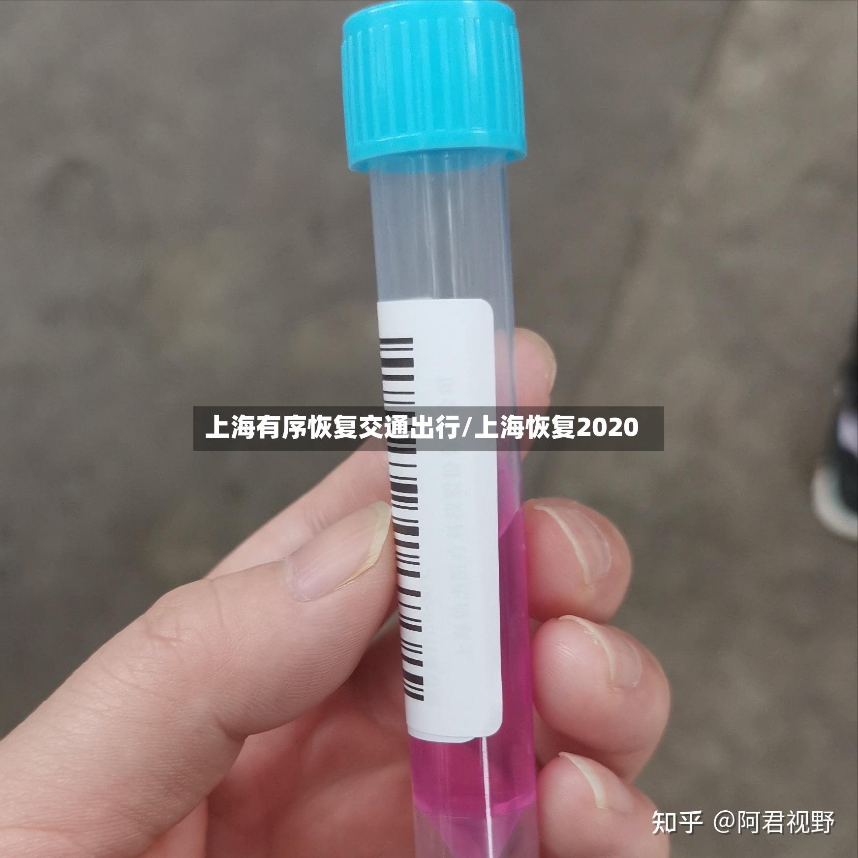 上海有序恢复交通出行/上海恢复2020-第2张图片