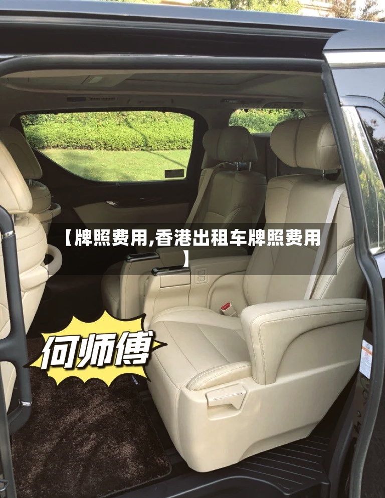 【牌照费用,香港出租车牌照费用】-第2张图片