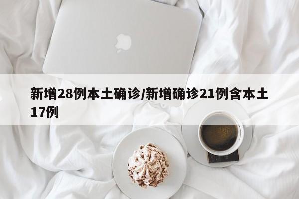 新增28例本土确诊/新增确诊21例含本土17例