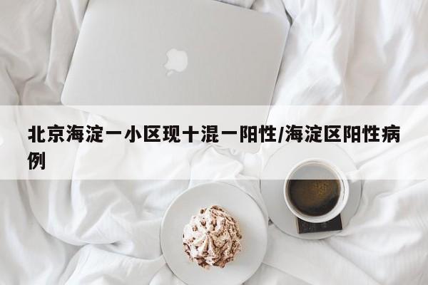 北京海淀一小区现十混一阳性/海淀区阳性病例